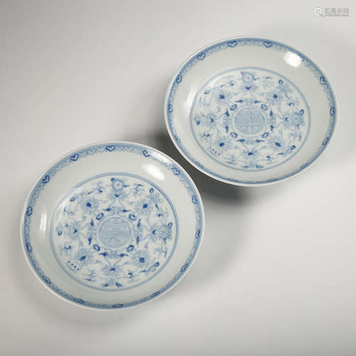 Chinese Blue White Porcelain Plates, Pair