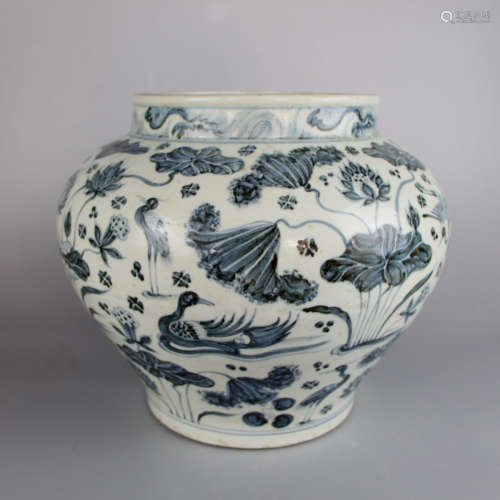 Chinese Blue White Fish Porcelain Jar