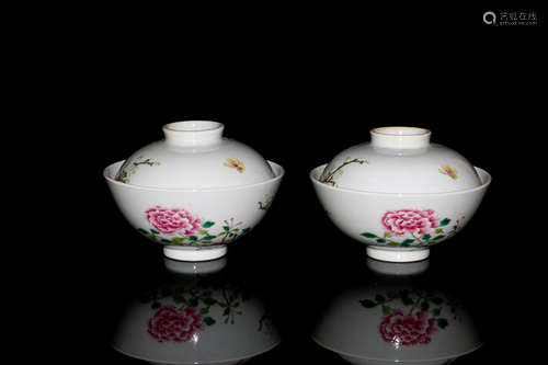 Chinese Famille Rose Porcelain Bowl, Pair