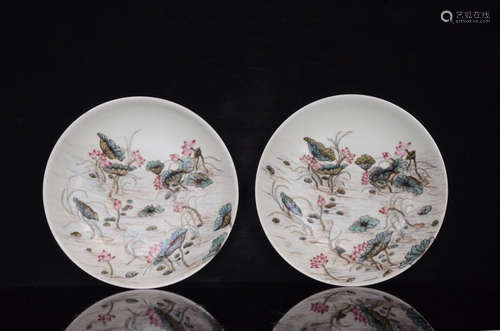 Chinese Famille Rose Porcelain Plates