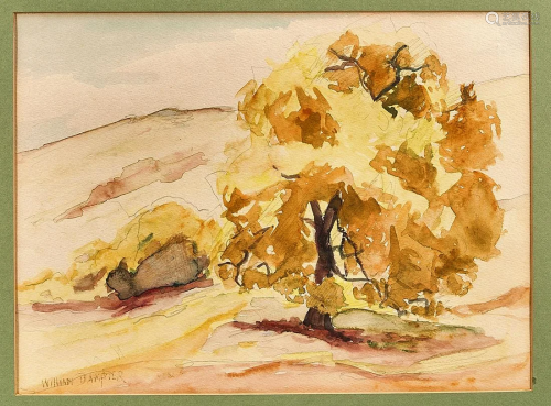 Group of Three Watercolors by William Dampier