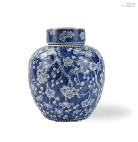 Chinese Blue & White Porcelain Jar & Lid, 19th C.