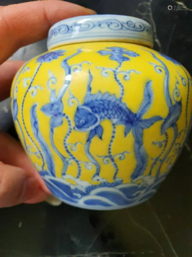 Mingchenghua petite yellow glaze fish algae pattern sky