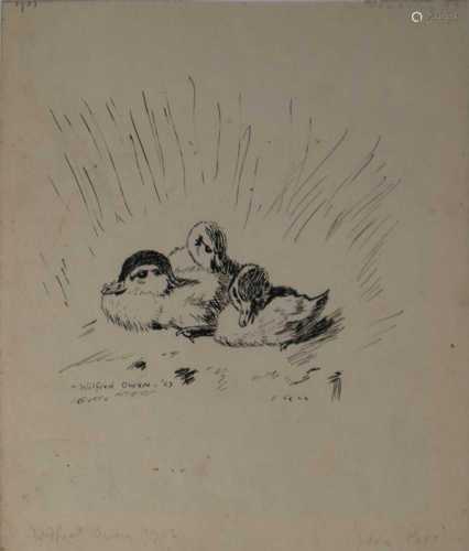 Wilfred Owen (British 1893-1918), Ink Sketch of Three Ducklings