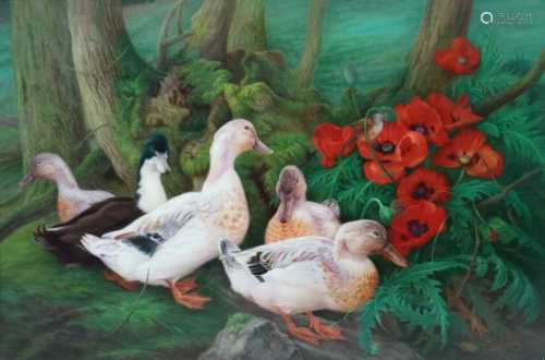 Denby Sweeting (British 1936-2020) Ducks and Poppies oil on panel