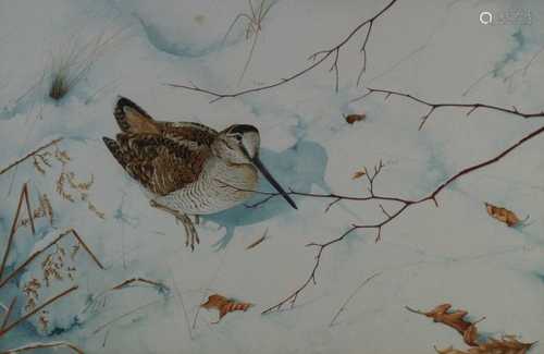 Owen Williams (British Contemporary) Woodcock in the Snow Watercolour