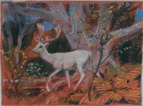 Charles Frederick Tunnicliffe (British 1901-1979) White Fallow Buck Watercolour