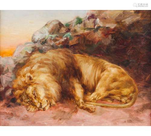 Artur Loureiro attrib. (1853-1932)A sleeping African lion