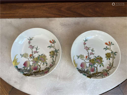 Pair of Chinese Pastle dishes porcelain of Qing Dynasty GuangXu Mark