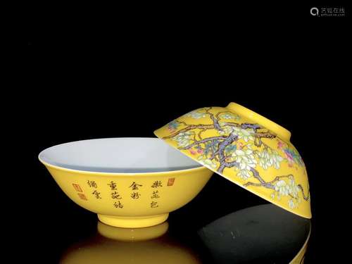 Pair Of Daqing-Yongzheng-Nianzhi Mark Yellow Glaze Bowls