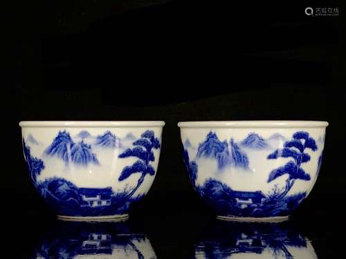 Pair Of Blue&White Landscape Pattern Cup