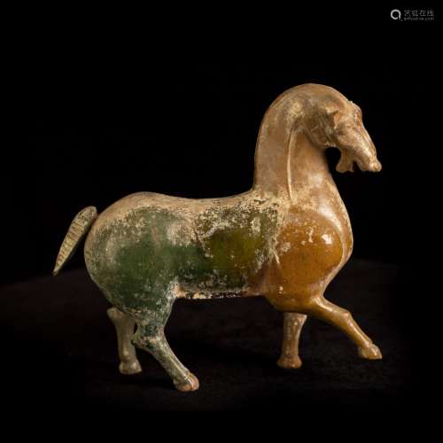Tri-colored Horse from Tang