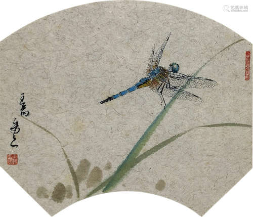 王菂 蜻蜓 设色纸本