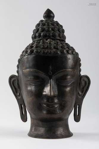 SOUTH EAST ASIA BUDDHA head, patinated bronze. H. …