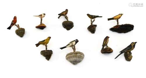 Collection De 9 Oiseaux