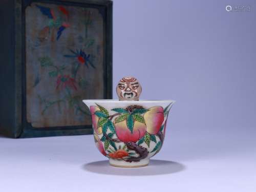 A Porcelain Famille Rose Cup