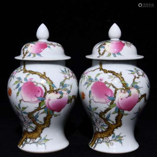 Famille Rose Jar with Lid