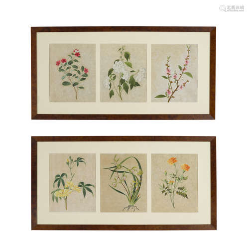 Anonymous, Canton School Six paintings of flowers, 19th century