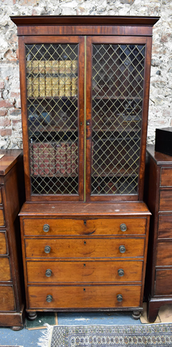 A mahogany library cabinet