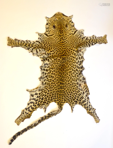 An unlined leopard skin