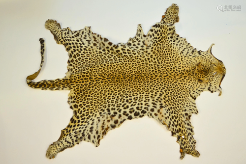 An unlined leopard skin