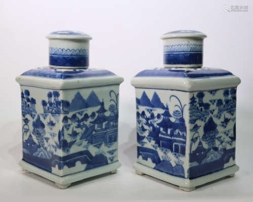 Pair Chinese Export Blue & White Porcelain Tea Bottles