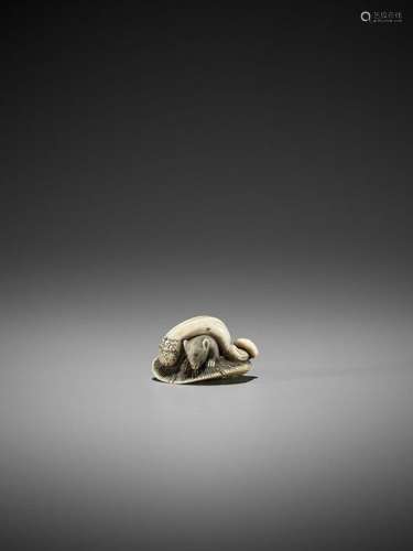 An Ivory Netsuke Of A Squirrel…