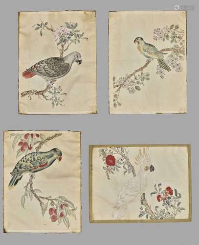 Four Parrot Paintings, Qing