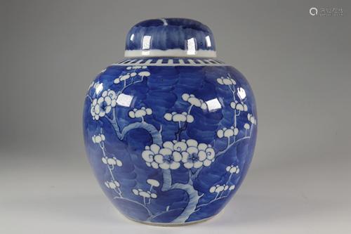 blanc-bleu prunus porcelain vase, China circa 1900.