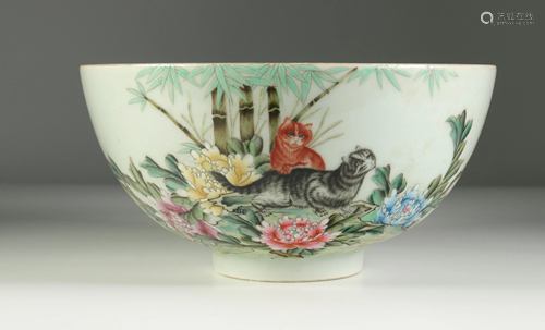 Porcelain bowl decorated with cats. 20th century China.