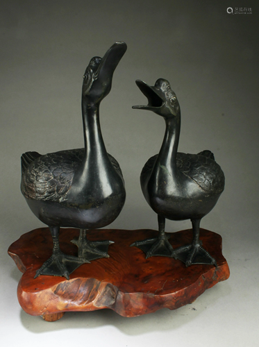 Two Bronze Duck Statues