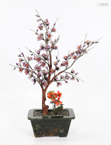 Chinese Amethyst Coral Tree in Green Jade Planter