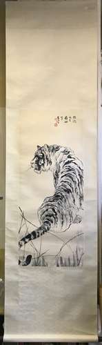 Chinese Scroll Painting Of Tiger