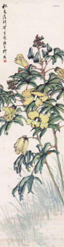 柳 滨(1887-1945) 木槿花开 设色 纸本立轴