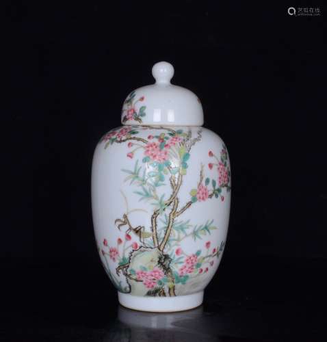 A Porcelain Famille Rose Jar