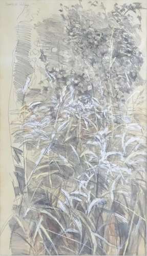 Benedict Rubbra (b. 1938), Mixed media on paper, An abstract study of vegetation. Signed and dated