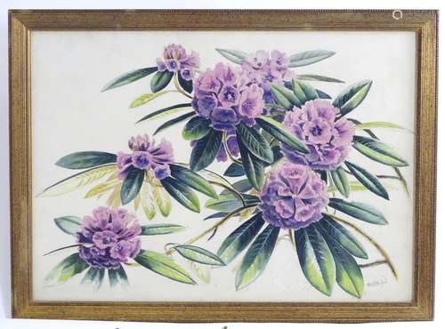 Stuart Armfield (1916-2000), Watercolour, A still life study of rhododendron flowers. Signed lower