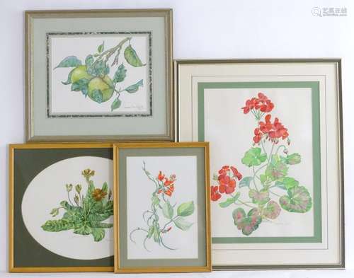 Susan Faithfull, XX, Four Watercolours, Botanical studies of flowers and fruit comprising,