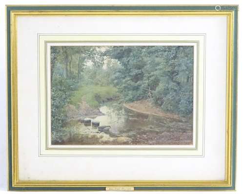 James Towers (1853-1950), Watercolour, A wooded landscape scene with stepping stones over a