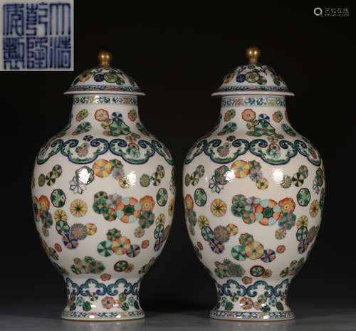 DAQINGQIANLONGNIANZHI MARK DOUCAI GLAZE JAR PAIR