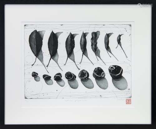 NATURAL PROGRESSION, AN ETCHING BY FIONA WATSON