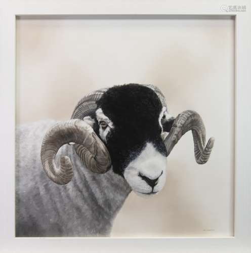 STARE DOWN, AN OIL BY TONI HARGREAVES