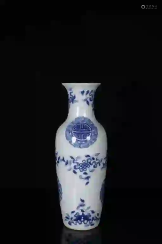 Chinese Blue and White Porcelain Vase