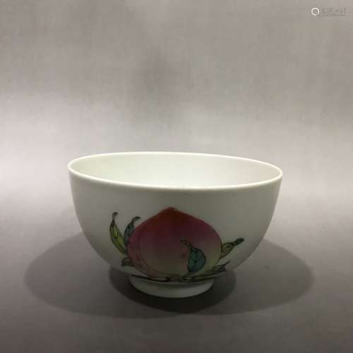 A Porcelain Famille Rose Bowl