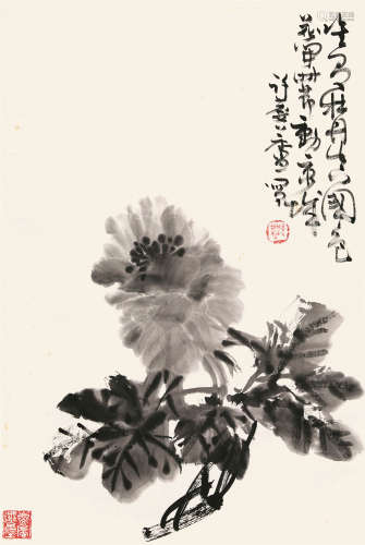 许麟庐（1916-2011） 牡丹国色图 立轴 水墨纸本