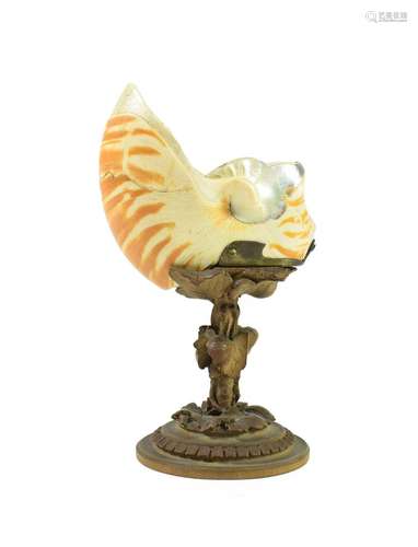 A Boxwood Mounted Nautilus Shell, 19th century, carved with a hiding fish, on a foliate carved