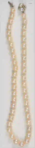 Pearl Single String Necklace graduated pearls, having