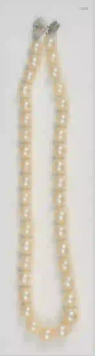 Pearl Single Strand Necklace of graduating pearls with