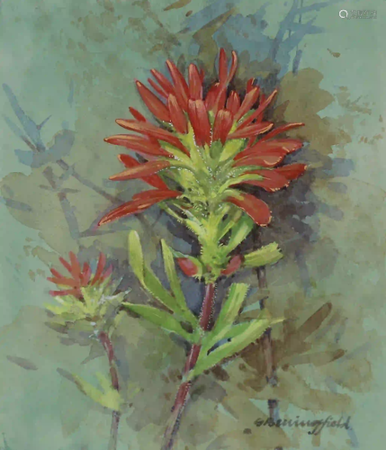 Gordon Beningfield (1936 - 1998) Indian Paintbrush