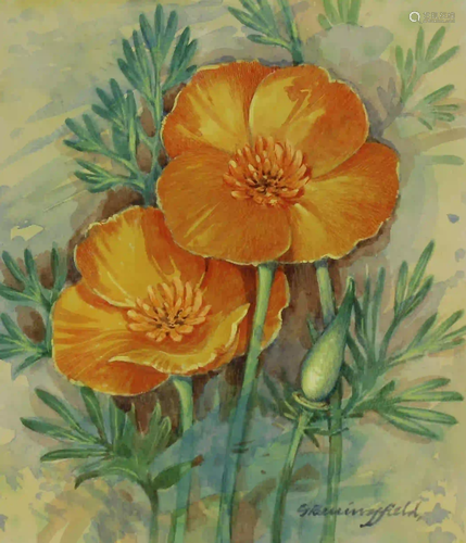 Gordon Beningfield (1936 - 1998) California Poppy